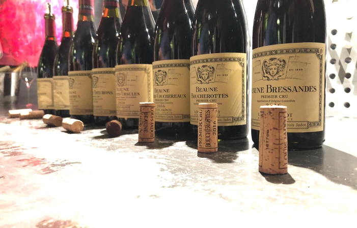 Selection of Burgundy: Maison Louis Jadot Wines Free