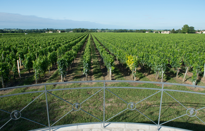 Visit of the chateau and tasting Free