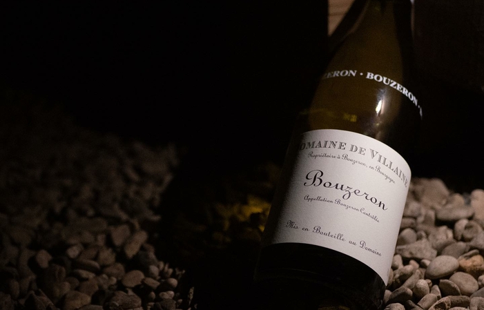 Selection of Burgundy: Domaine De Villaine Free