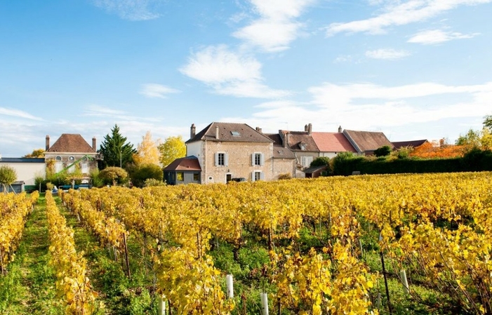 Burgundy selection: Domaine Gueguen Free