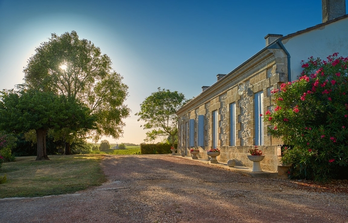 Direct sale wines from Château Puybarbe €12.90