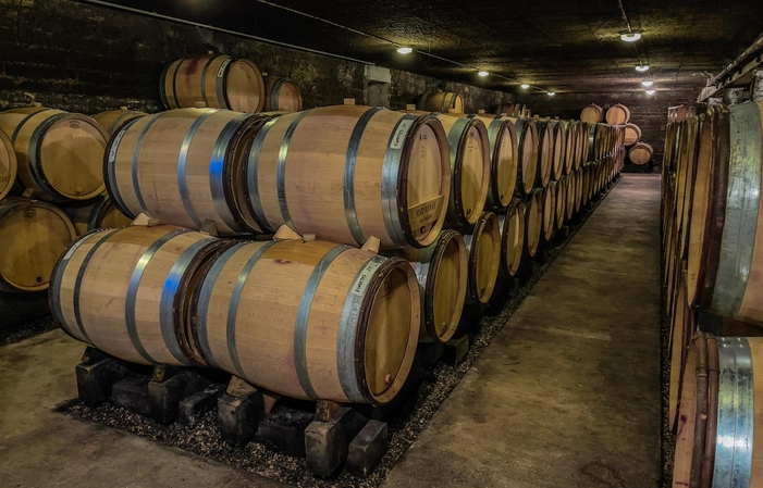 Selection of Burgundy, Domaine Bart Free