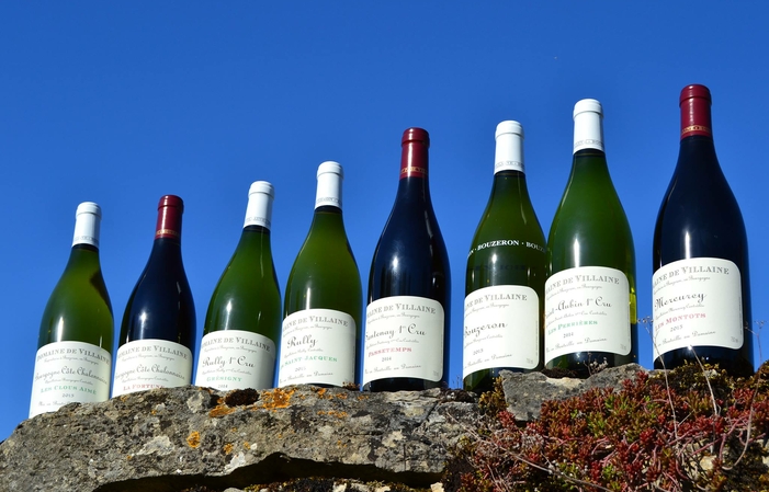 Selection of Burgundy: Domaine De Villaine Free