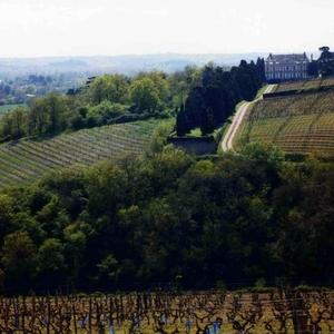 Image of the wine