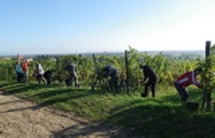Visit of the estate and commented tasting €15.00