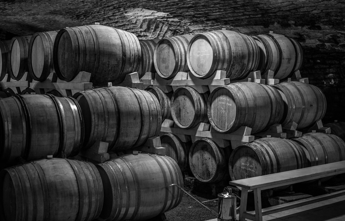 Visit and tasting at the Château de la Greffière €15.00