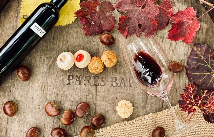 Cheese and wine tasting at the Parès Baltà estate €40.00
