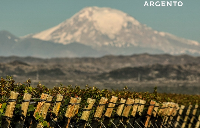 Visit and Tasting - Bodega Argento €1.00