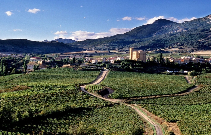 Visit Of Bodegas Remírez De Ganuza €1.00