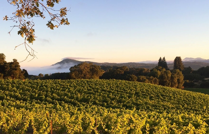 Reserve tasting at Alquimista Cellars €1.00