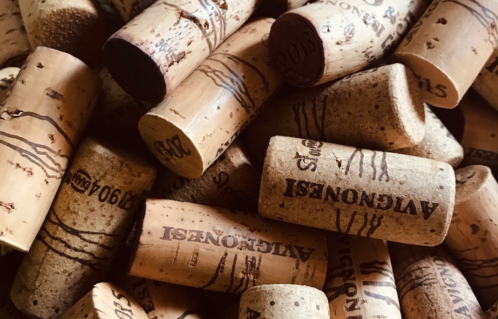 Visit and tastings of the AVIGNONESI estate €1.00