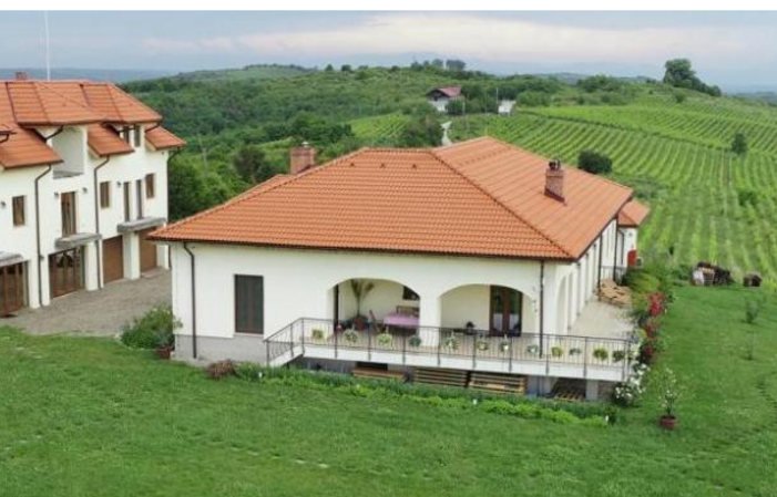 VISIT OF BAUER WINERY - DRAGASANI €20.00