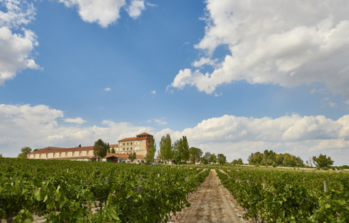 Improved Visit and Tasting in La Mejorada €30.00