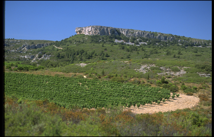 GASTRONOMIC DISCOVERY OF THE LANGUEDOC CRUS €490.00