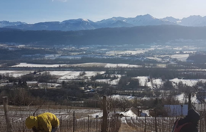 Visit and tastings of the Domaine De L'idylle €30.00