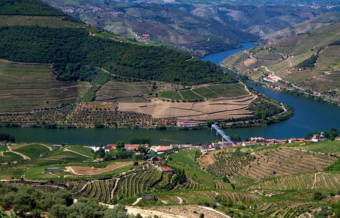 Relax Douro: Enjoy the Valley €100.00