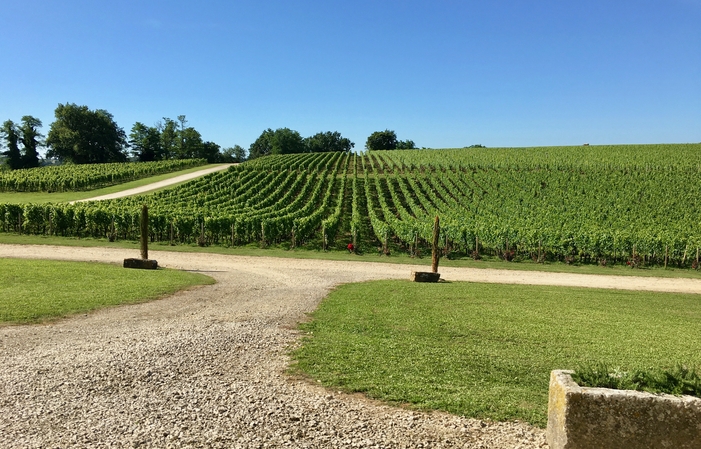 Visit and Dinner winemaker at Château Haut Piquat €45.00