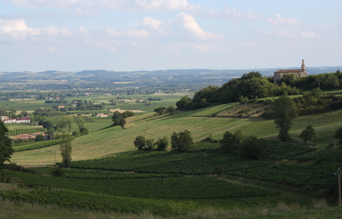Visit and Tasting at Domaine Sarrabelle €1.00