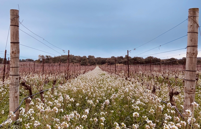 CORBIERES BETWEEN WINES AND SEAS €320.00