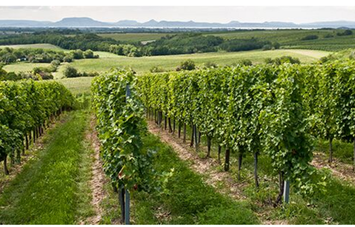 Visit Deleuze-Rochetin Estate €6.00