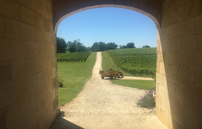 Visit - "Lunch on the grass" at Château Haut-Piqua €30.00