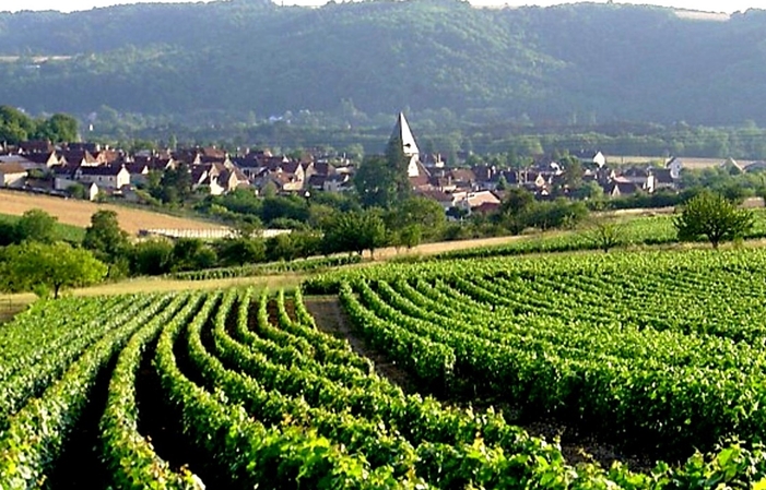 Travelling tour of chablis region from Paris €170.00