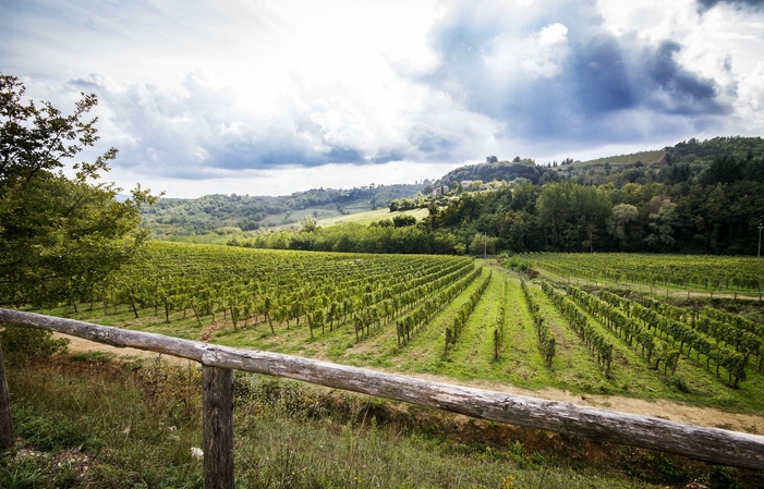 Visit Fattoria della Aiola: Wine tasting on a walk €15.00