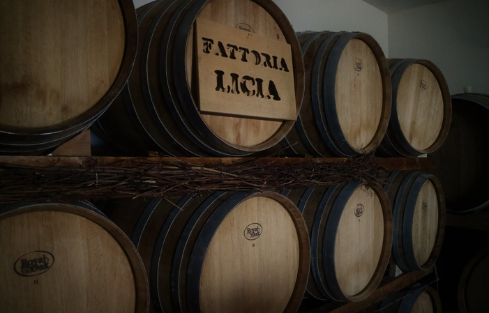 Visit and tastings at FATTORIA LICIA €1.00