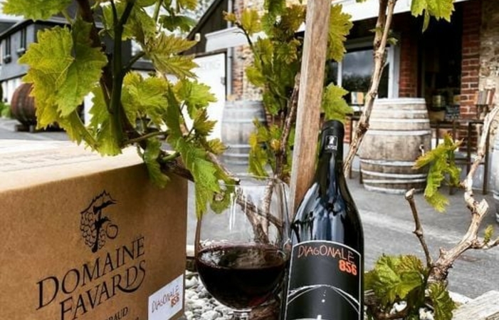 Visit and tastings of domaine Des Favards €1.00