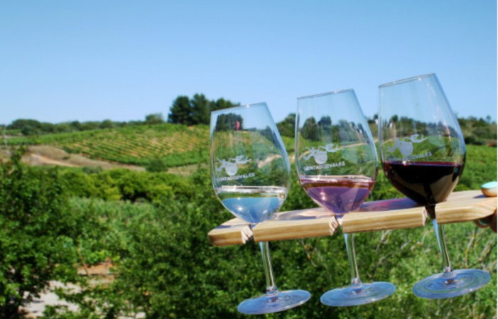 Wine tasting and Guided Tour €10.00