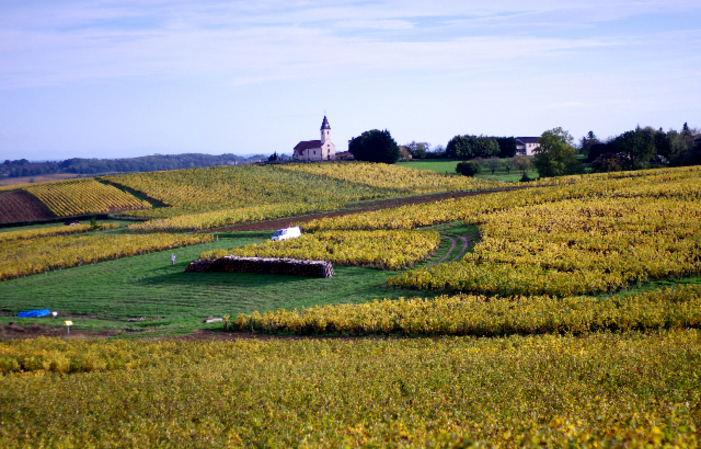 Visit and Tasting at the Domaine €1.00