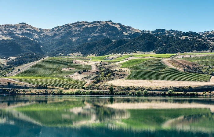 Visit and tastings of Misha's Vineyard Wines €1.00