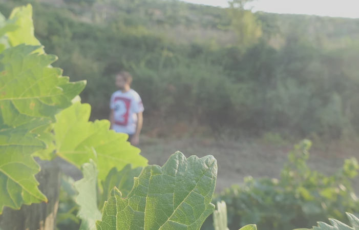Visit and tastings at Domaine Jean-Baptiste Arena €1.00