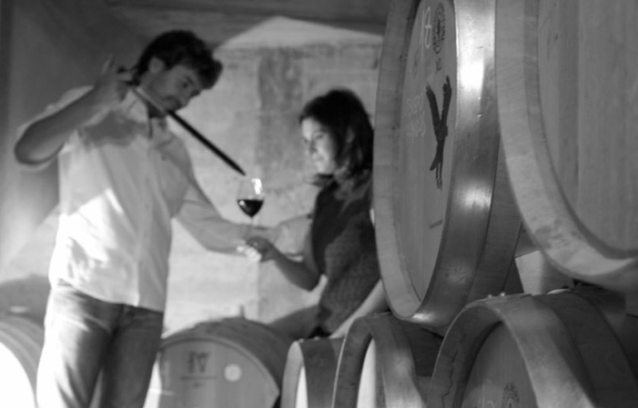 Visit DOMINIO DEL AGUILA Ribera del Duero €1.00
