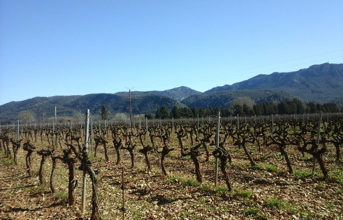 Visit and Tasting at Domaine la Goujonne €1.00