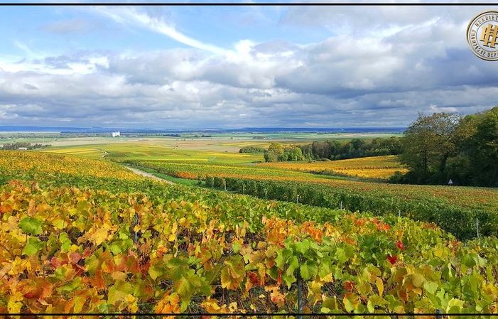 Discovery tour Champagne Henriet Bazin €5.00