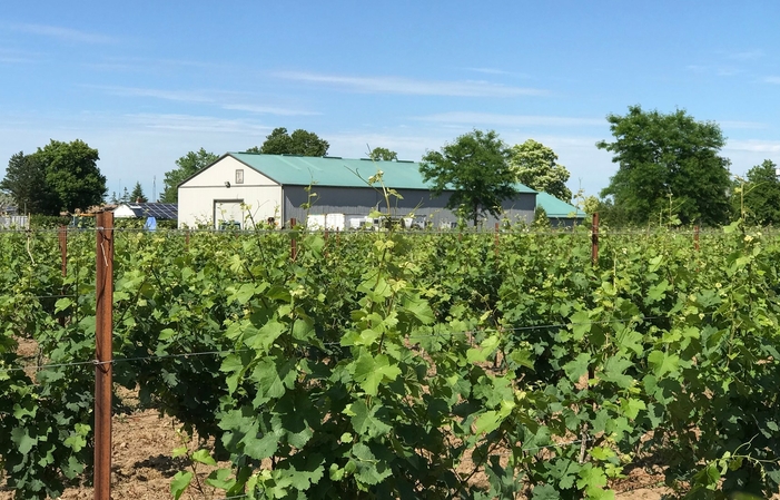 Tasting at King's Court Estate €8.20