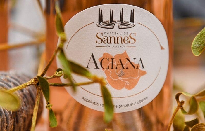 Visit and tasting at Château De Sannes €12.00