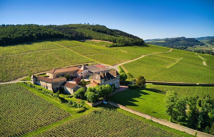 Visit and tasting at the Château de la Greffière €15.00