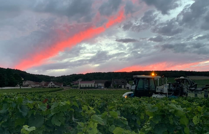 Selection of Burgundy Domaine Heresztyn-Mazzini €1.00