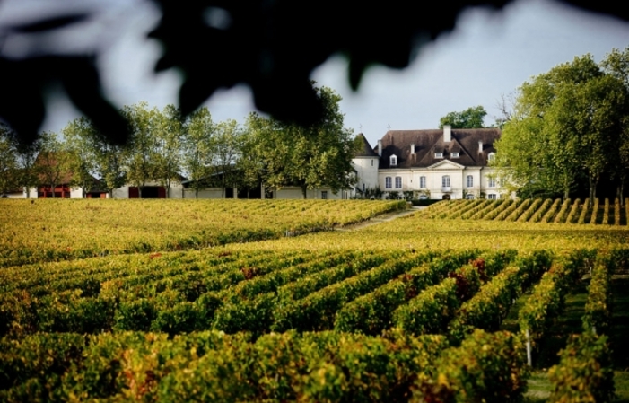 Visit and Tasting at Château Bouscaut Grand Cru Classé of Graves €10.00