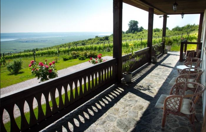 Visit Of DOMENIUL DRAGASI €14.05