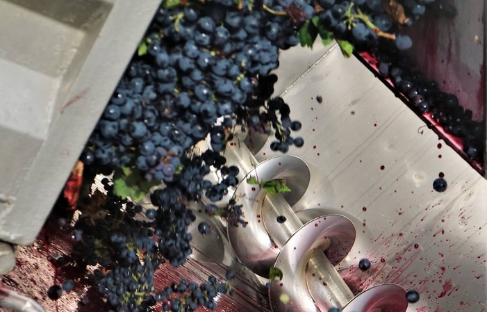 Visit and tastings at FATTORIA LICIA €1.00