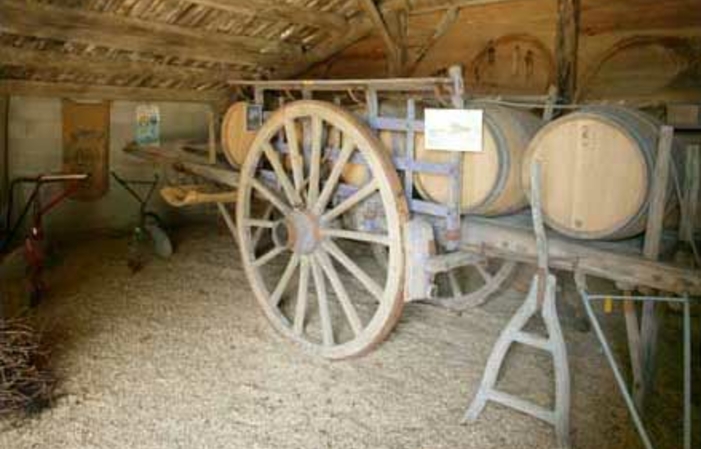 Visit to the Museum of Viticulture - Château Nodot €9.00