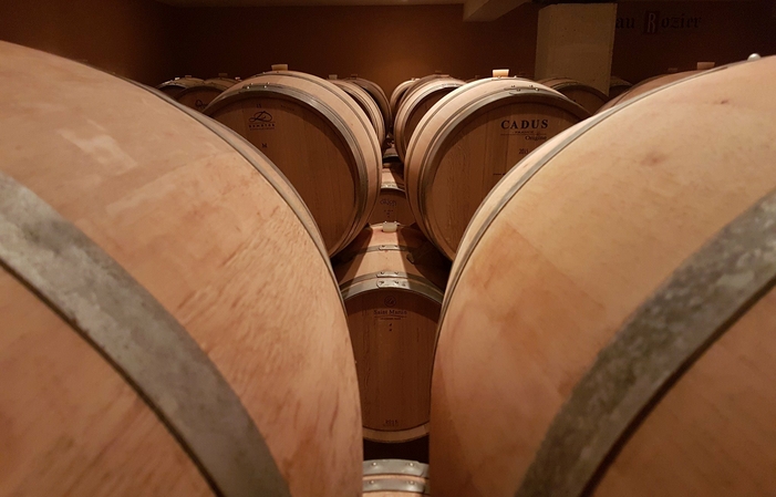 Visit and tastings of the saby vineyard €5.00