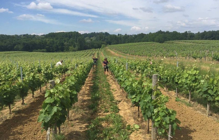 Visit and Tasting at the Château de Viens €1.00