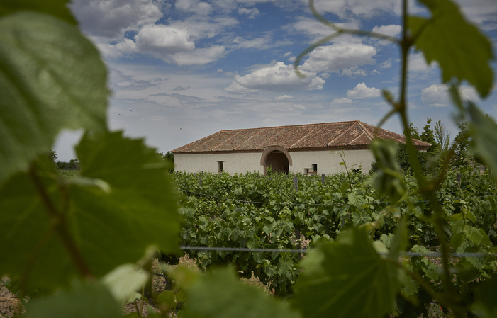 Discovery and Tasting Visit to La Mejorada €16.00