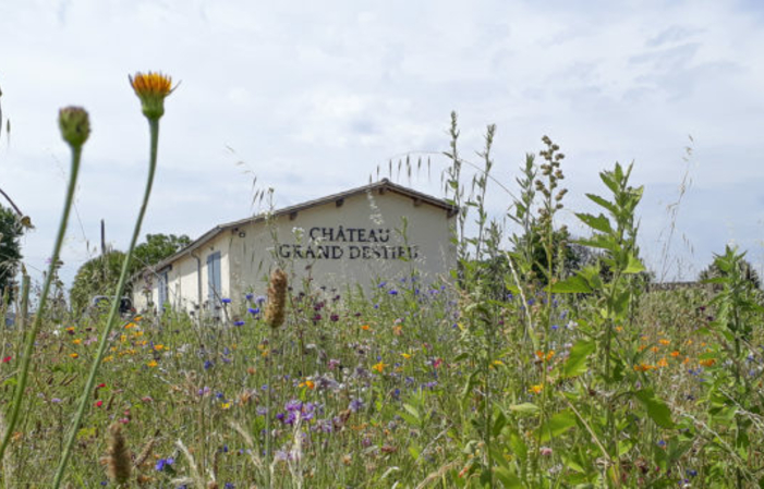 Visit and Tasting at Château Grand Destieu €1.00
