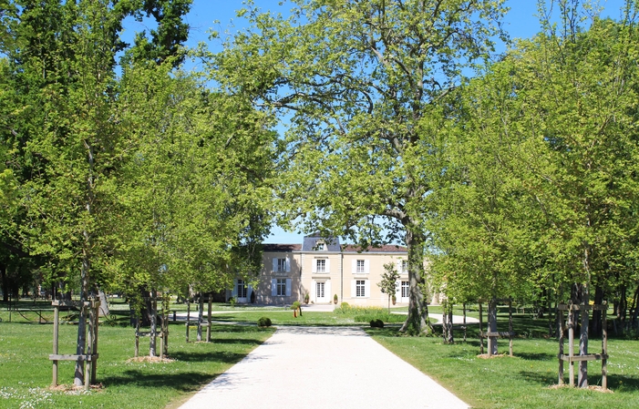 Beekeeper for a day - Château Dauzac €25.00