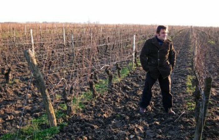 Visit and tastings of the Domaine de l'R estate €1.00